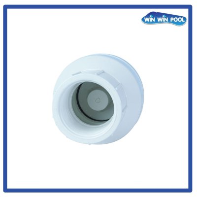 Spring Inline Check 1.5"